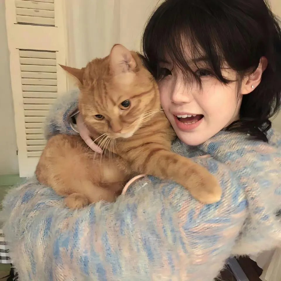 派特森与芬达猫