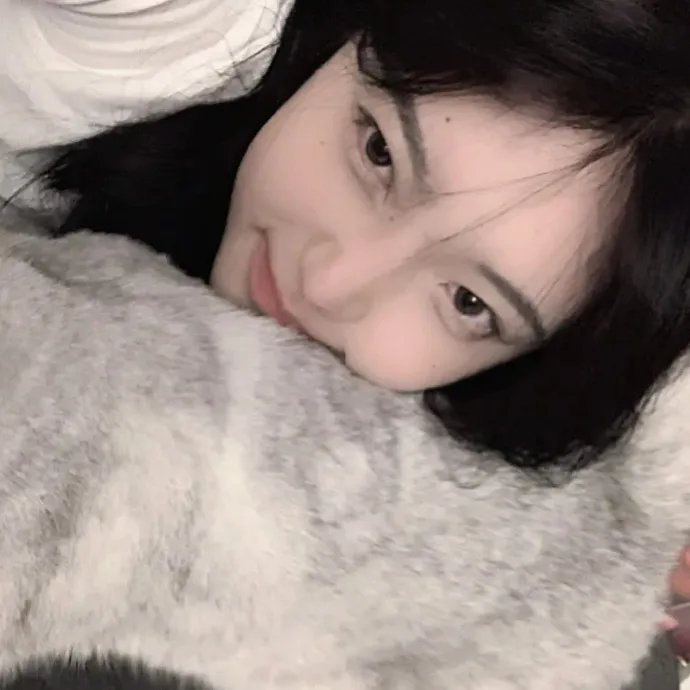 鲨与鲸
